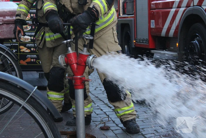 Brand in bosschage bij stadswoning