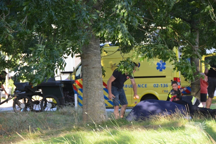 Op hol geslagen paard veroorzaakt meerdere ongevallen met gewonden