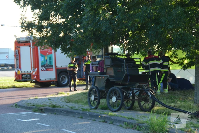 Op hol geslagen paard veroorzaakt meerdere ongevallen met gewonden