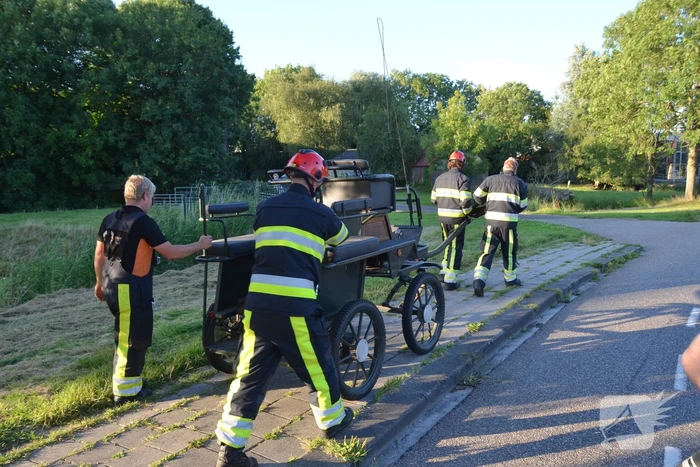 Op hol geslagen paard veroorzaakt meerdere ongevallen met gewonden