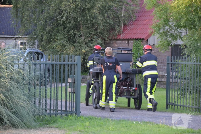 Op hol geslagen paard veroorzaakt meerdere ongevallen met gewonden