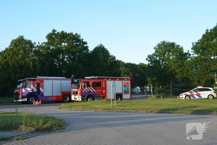 Op hol geslagen paard veroorzaakt meerdere ongevallen met gewonden