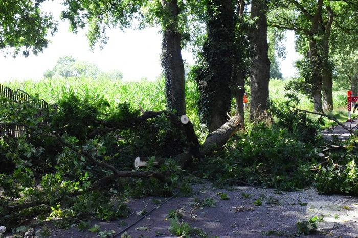Weg naar zwembad De Vrije Slag afgesloten door loshangende takken