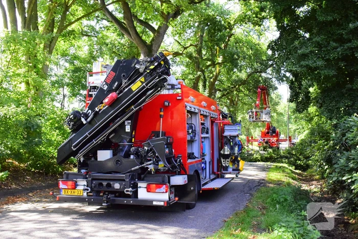 Weg naar zwembad De Vrije Slag afgesloten door loshangende takken