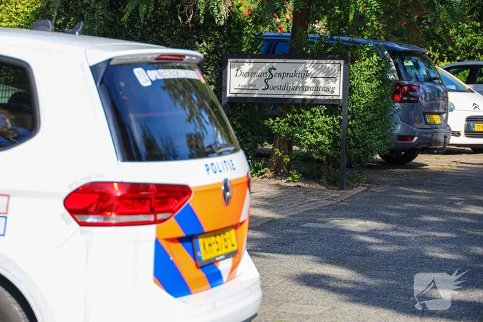 Assistent dierenartsenpraktijk aangevallen door agressieve hond