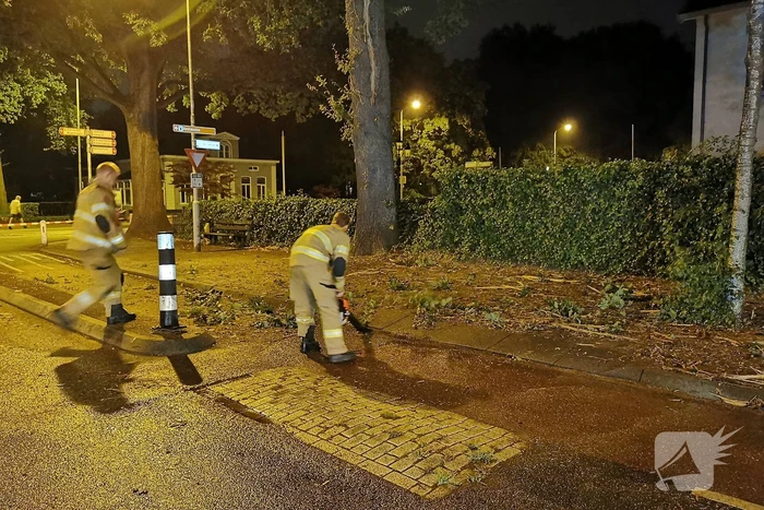 Bliksem slaat in boom man komt met schrik vrij