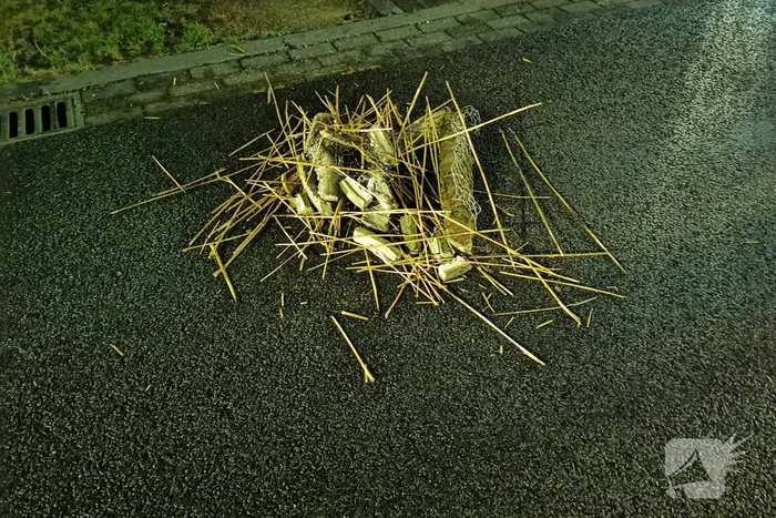 Brandweer controleert rietendak na blikseminslag