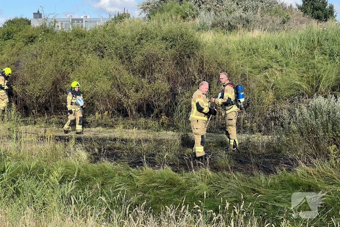 Stuk bosschage verwoest vanwege brand