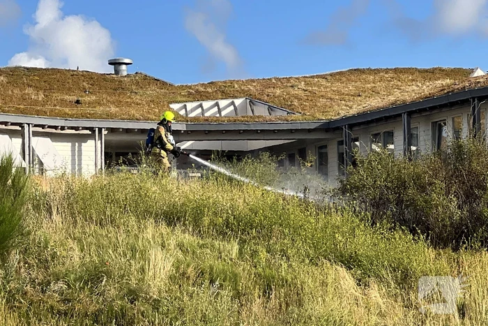 Stuk bosschage verwoest vanwege brand