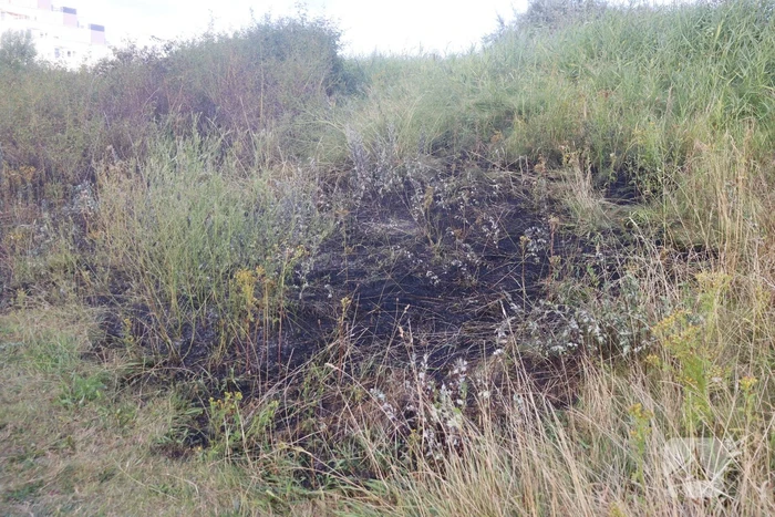 Stuk bosschage verwoest vanwege brand