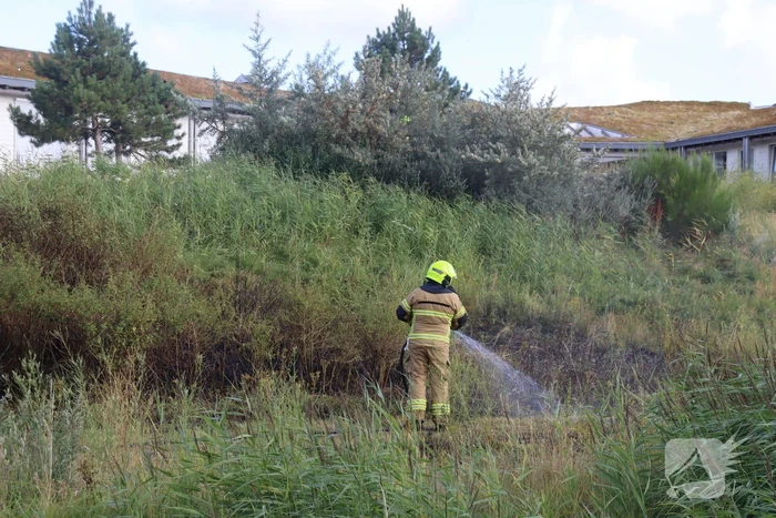 Stuk bosschage verwoest vanwege brand