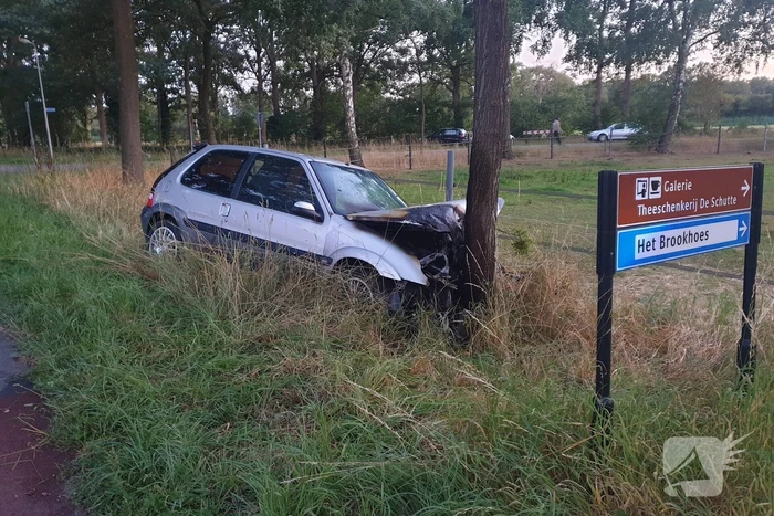 Auto zwaar beschadigd na botsing tegen boom