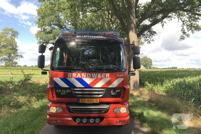 Omgevallen boom zorgt voor stremming