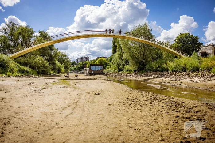 Laag waterpeil de Waal trekt veel bekijks