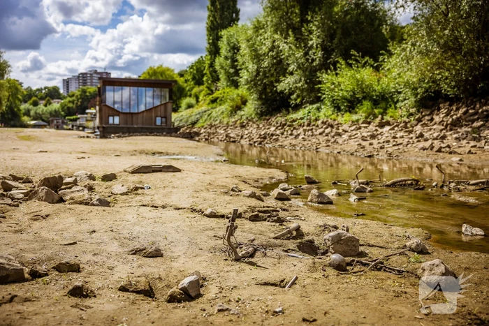 Laag waterpeil de Waal trekt veel bekijks