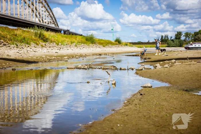 nieuws lindenberghaven nijmegen