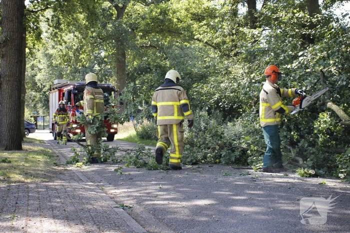 Brandweer haalt gevaarlijk hangende takken uit boom
