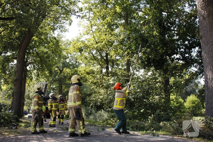 Brandweer haalt gevaarlijk hangende takken uit boom