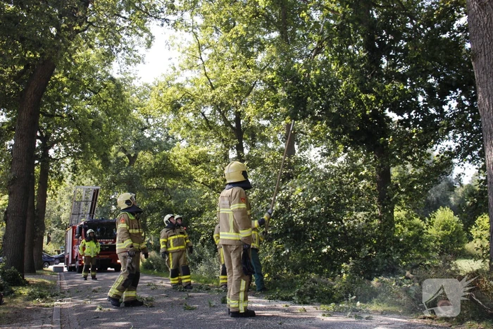 Brandweer haalt gevaarlijk hangende takken uit boom