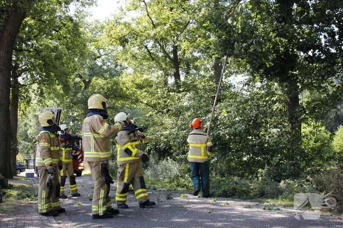 Brandweer haalt gevaarlijk hangende takken uit boom