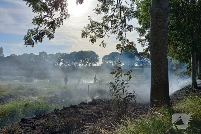 Flinke rookontwikkeling bij buitenbrand