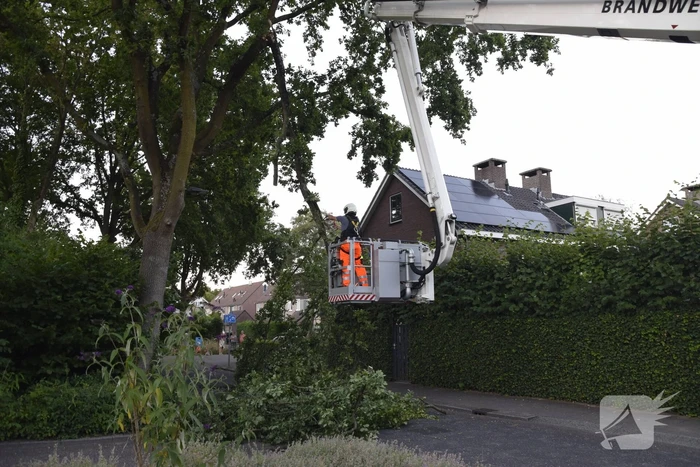 natuur bezaan veenendaal