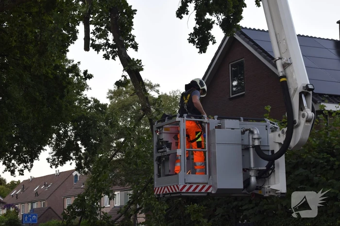 Brandweer ingezet voor afgebroken tak