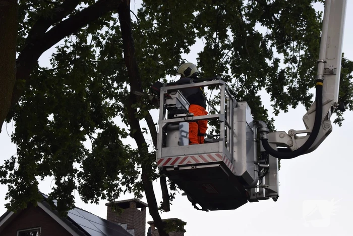 Brandweer ingezet voor afgebroken tak
