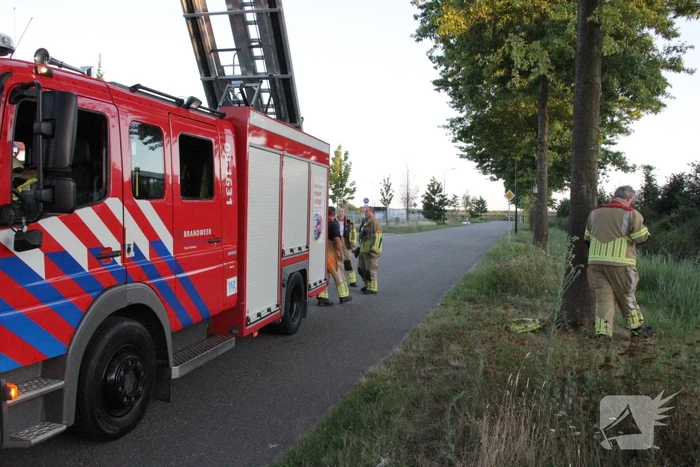 Brandweer zoekt naar gestolen katalysator