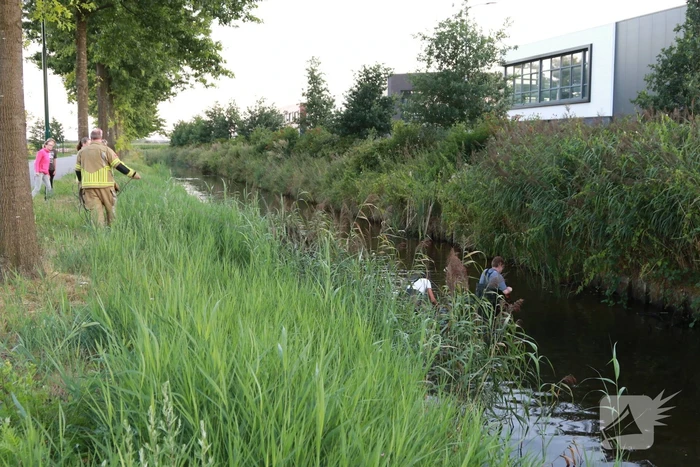 Brandweer zoekt naar gestolen katalysator