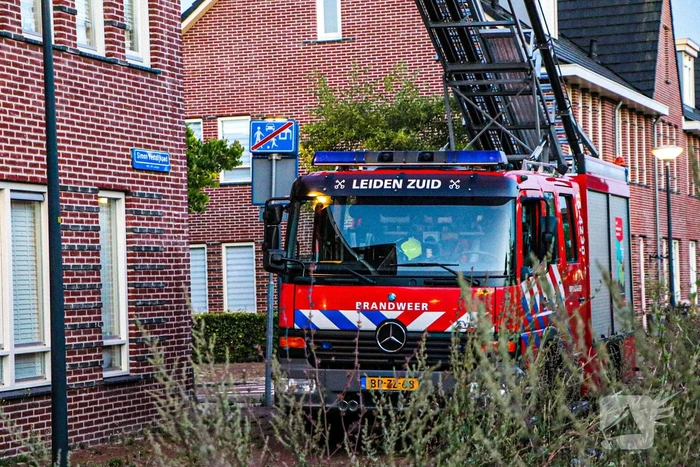 Brandweer ingezet voor kat op dak van woning