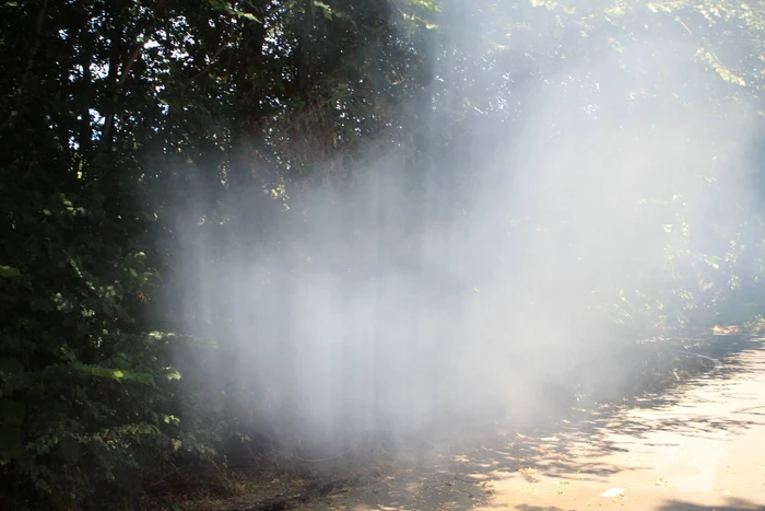 Brand in bosgebied snel geblust