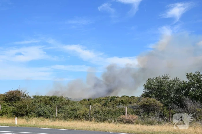 Brandweer massaal ingezet bij grote duinbrand