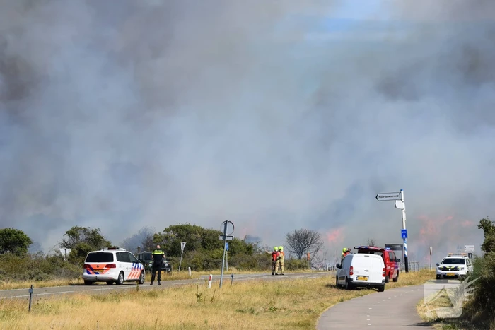 Brandweer massaal ingezet bij grote duinbrand