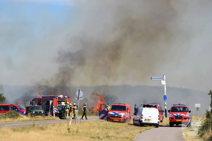 Brandweer massaal ingezet bij grote duinbrand