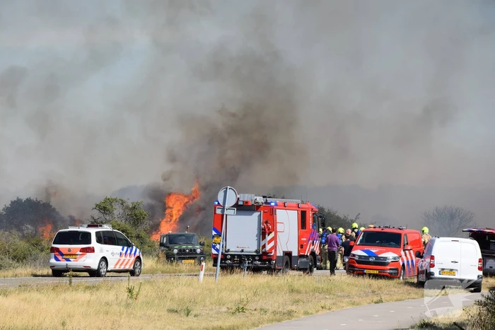 Brandweer massaal ingezet bij grote duinbrand