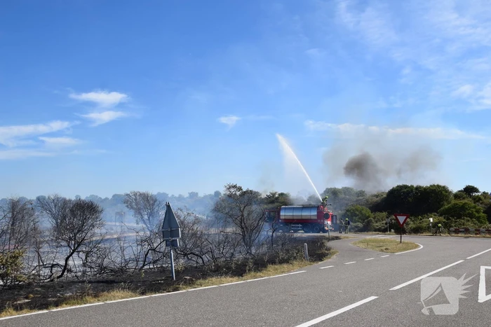 Brandweer massaal ingezet bij grote duinbrand