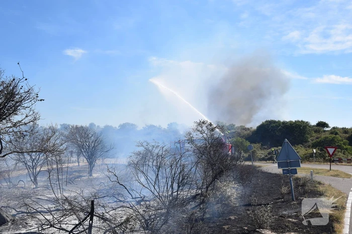 Brandweer massaal ingezet bij grote duinbrand
