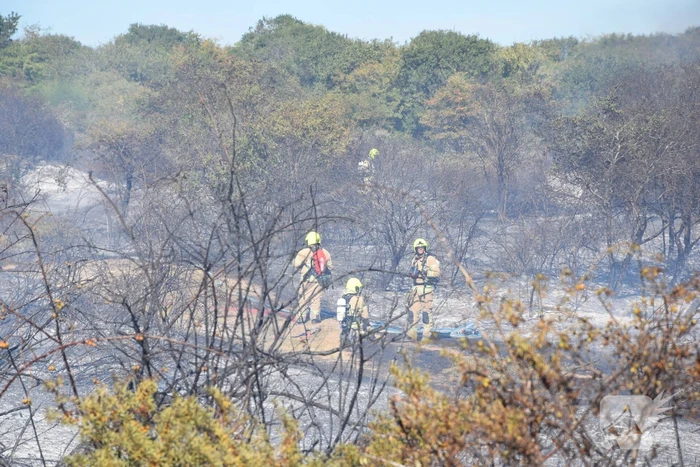 Brandweer massaal ingezet bij grote duinbrand