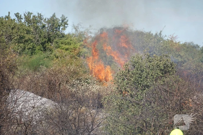 Brandweer massaal ingezet bij grote duinbrand