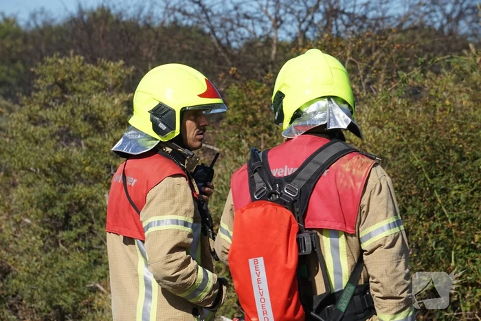 Brandweer massaal ingezet bij grote duinbrand