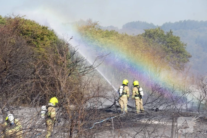 Brandweer massaal ingezet bij grote duinbrand