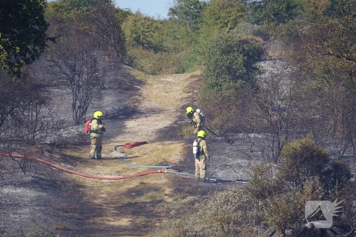 Brandweer massaal ingezet bij grote duinbrand
