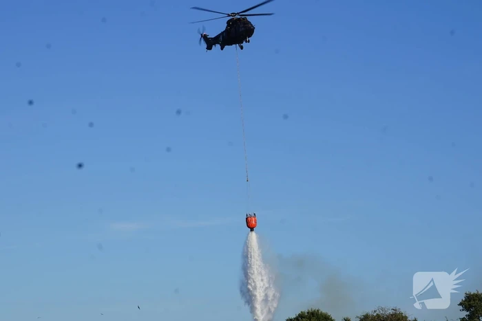 Brandweer massaal ingezet bij grote duinbrand