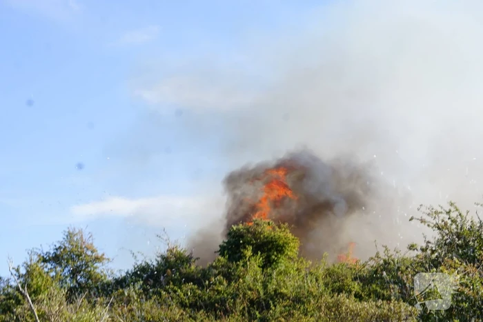 Brandweer massaal ingezet bij grote duinbrand