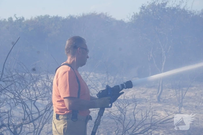 Brandweer massaal ingezet bij grote duinbrand
