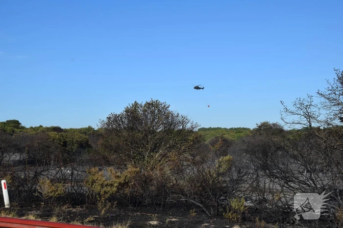 Brandweer massaal ingezet bij grote duinbrand