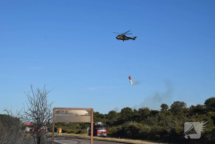 Brandweer massaal ingezet bij grote duinbrand