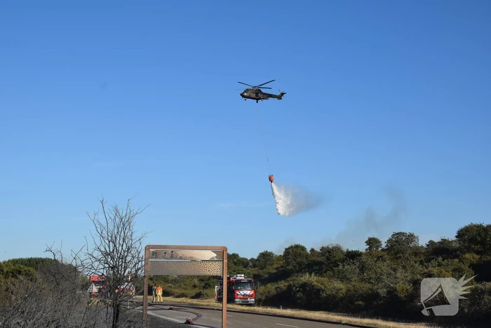 Brandweer massaal ingezet bij grote duinbrand