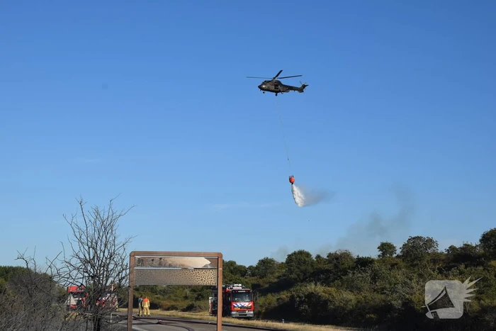 Brandweer massaal ingezet bij grote duinbrand